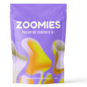B+ | Buy Magic Mushrooms Canada