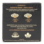 Room 920 – Mushroom Chocolate Bar - Milk Chocolate - 3 Grams | Buy Magic Mushrooms Canada