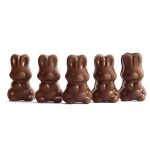 Alice - Mushroom Milk Chocolate - 2.5g | Buy Magic Mushrooms Canada