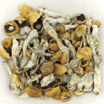 Orissa | Buy Magic Mushrooms Canada