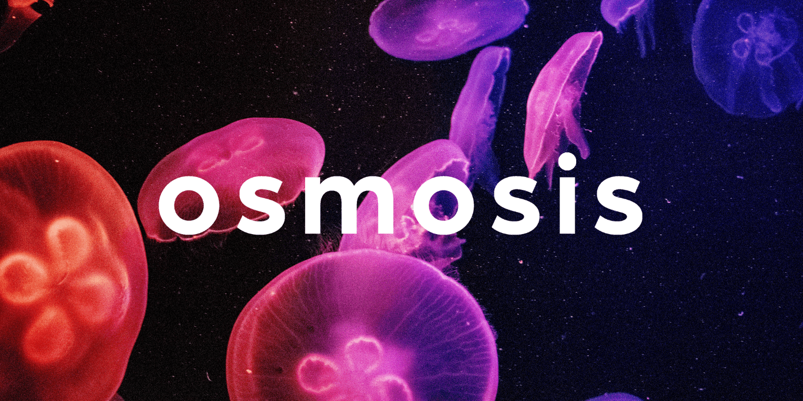 Zoomies osmosis banner | Buy Magic Mushrooms Canada