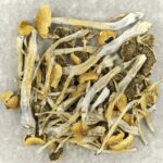 Trinity | Buy Magic Mushrooms Canada