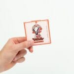 Wonder – Psilocybin Chocolate Bar – Blood Orange | Buy Magic Mushrooms Canada