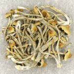 Hautla | Buy Magic Mushrooms Canada