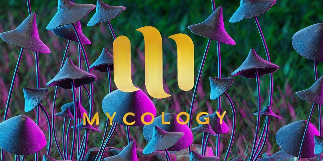 Zoomies Summer 2023 Banner - Mycology | Buy Magic Mushrooms Canada