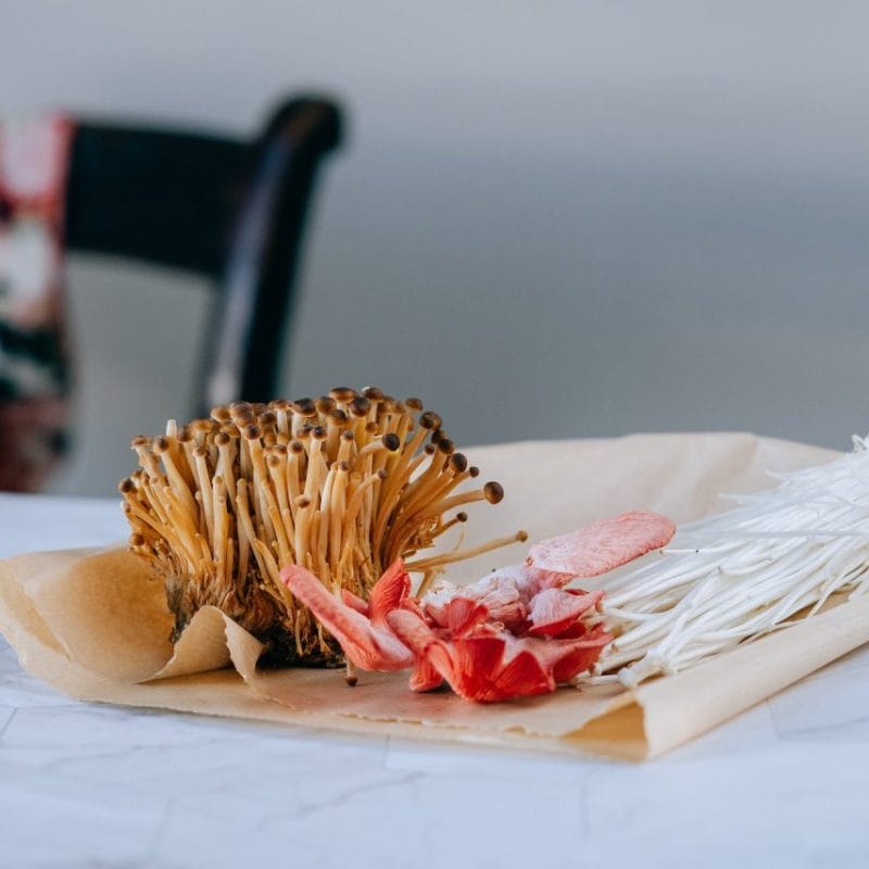 Buy Shrooms Online Canada (1) | Buy Magic Mushrooms Canada