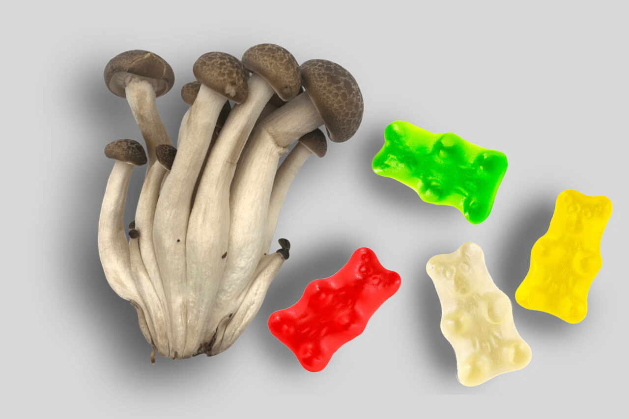 Top LSD edibles in Canada edibles infused with LSD