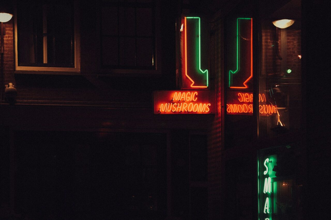 Vancouver’s Mushroom Dispensary – Understanding How Canada Is Bridging the Gap in the Mushroom Boom of the US?